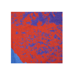 Beach Towels Wild Wild West